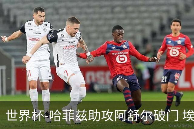 世界杯-哈菲兹助攻阿舒尔破门 埃及半场暂1-0澳大利亚