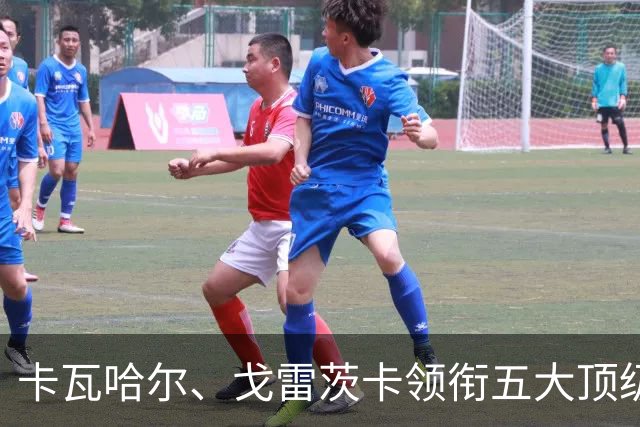 卡瓦哈尔、戈雷茨卡领衔五大顶级自由身，曼联中场迎来补强契机